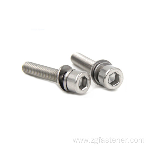 Round head screw with washer Hex socket head screw